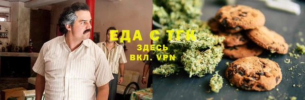 хмурый Аркадак