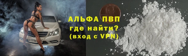 хмурый Аркадак