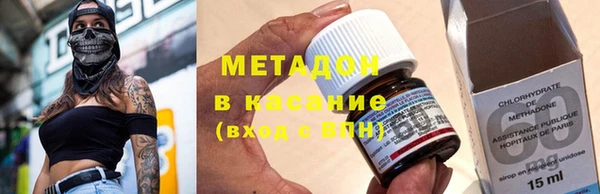 хмурый Аркадак