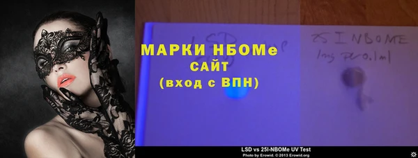 хмурый Аркадак