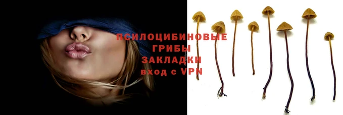соль ск Арсеньев