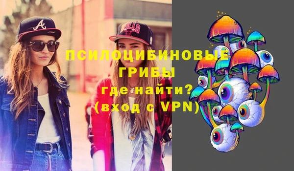 соль ск Арсеньев