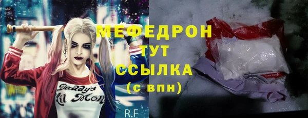 хмурый Аркадак