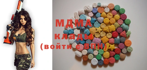 хмурый Аркадак
